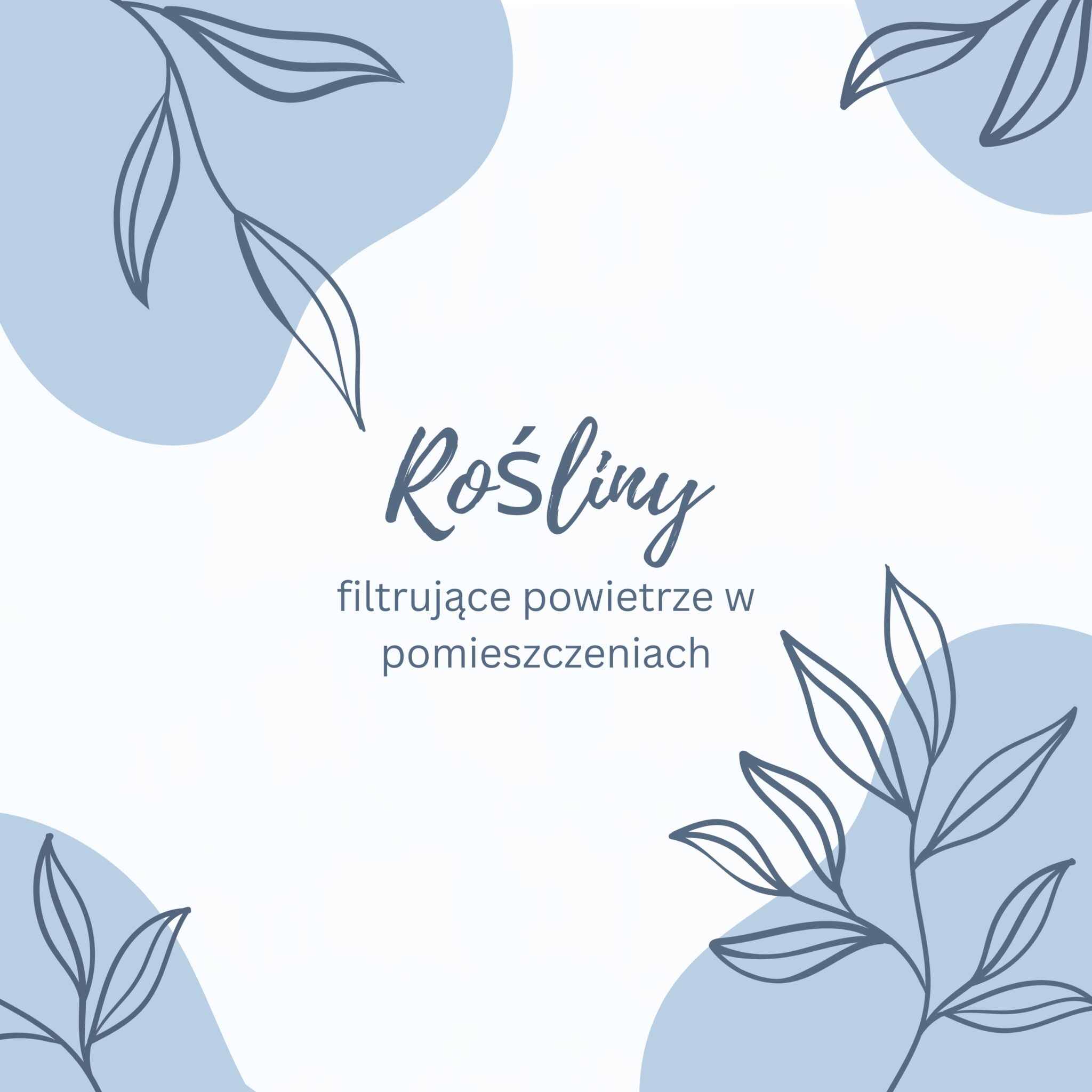 Read more about the article Rośliny filtrujące powietrze