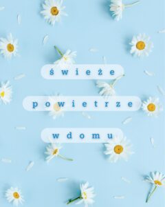 Read more about the article Świeże powietrze w domu