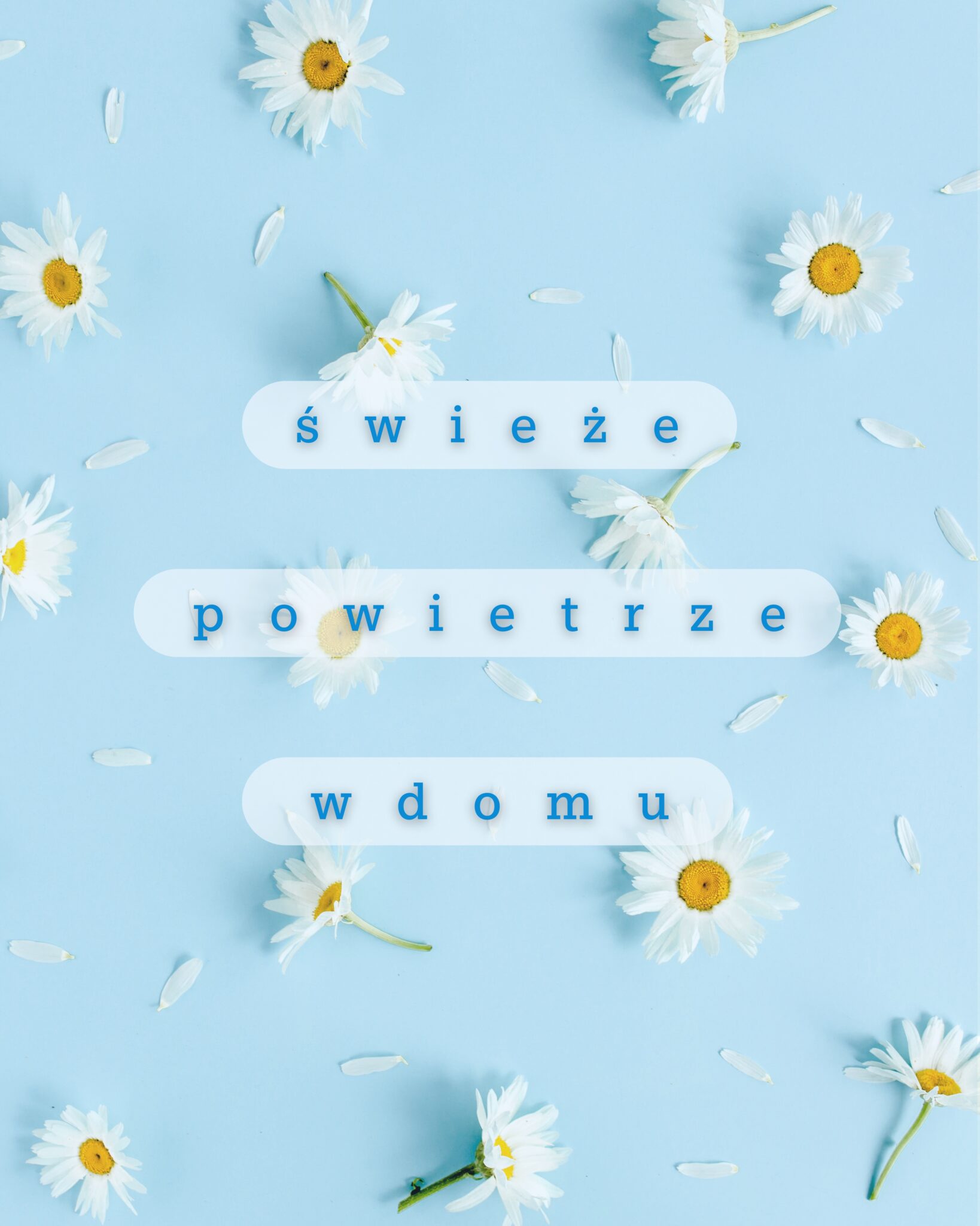 Read more about the article Świeże powietrze w domu