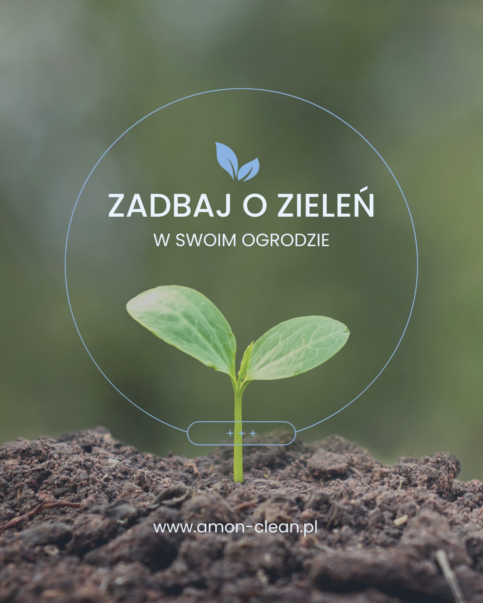 Read more about the article Zadbaj o zieleń w swoim ogrodzie
