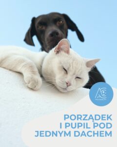 Read more about the article Porządek i pupil pod jednym dachem