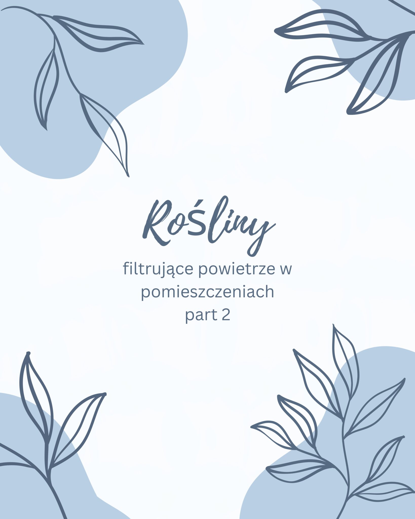 Read more about the article Przydatne rośliny w domu part 2