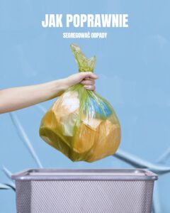 Read more about the article Jak poprawnie segregować odpady