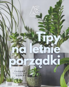 Read more about the article Tipy na letnie porządki